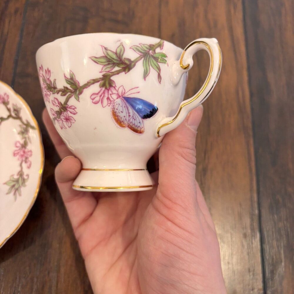 Tuscan Fine English Bone China Butterfly Cherry Blossom Garden Teacup and Saucer